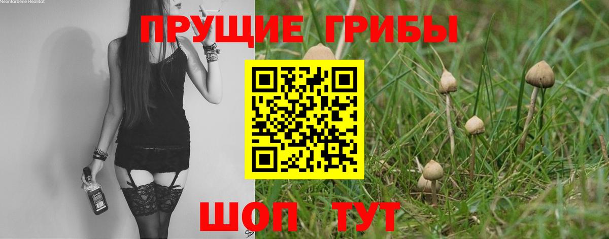 Воркута  Псилоцибиновые грибы GOLDEN TEACHER  Вход с VPN 